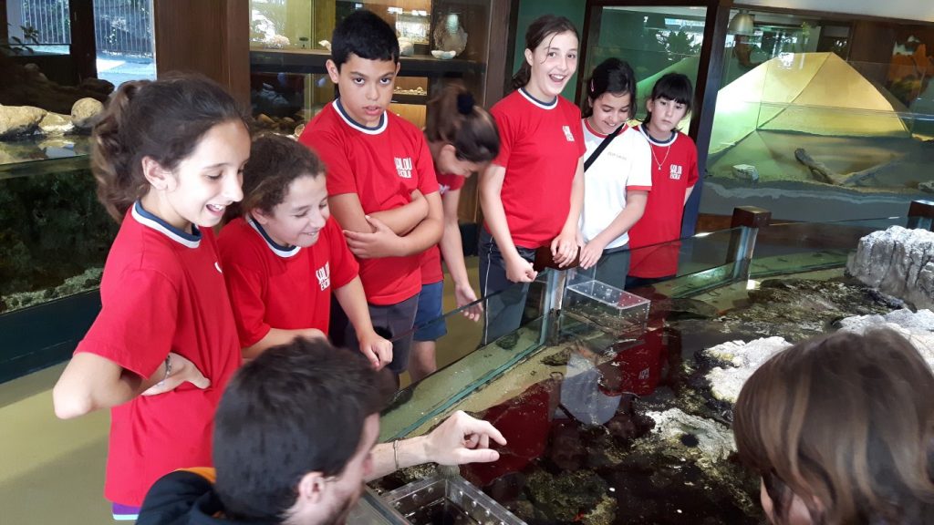 20170525_125725 (Medium)