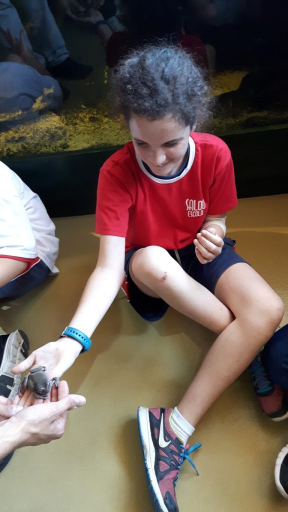 20170525_125817 (Medium)