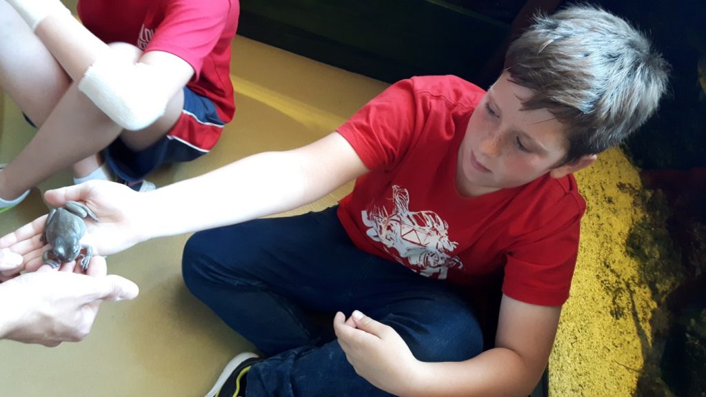 20170525_125827 (Medium)