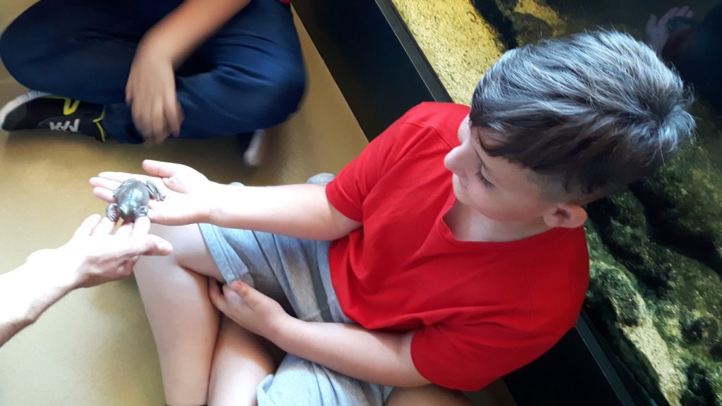 20170525_125844 (Medium)