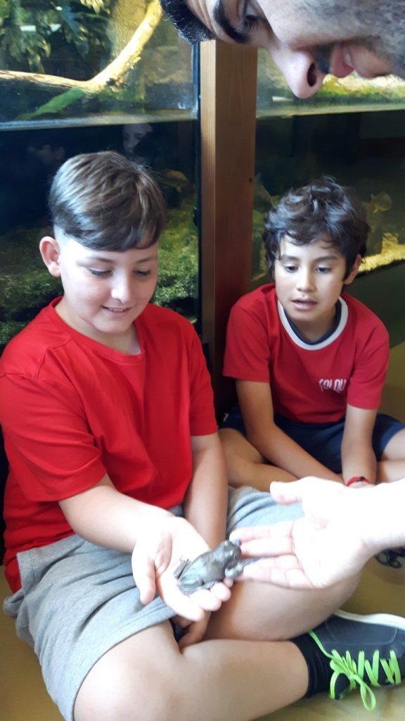 20170525_125856 (Medium)