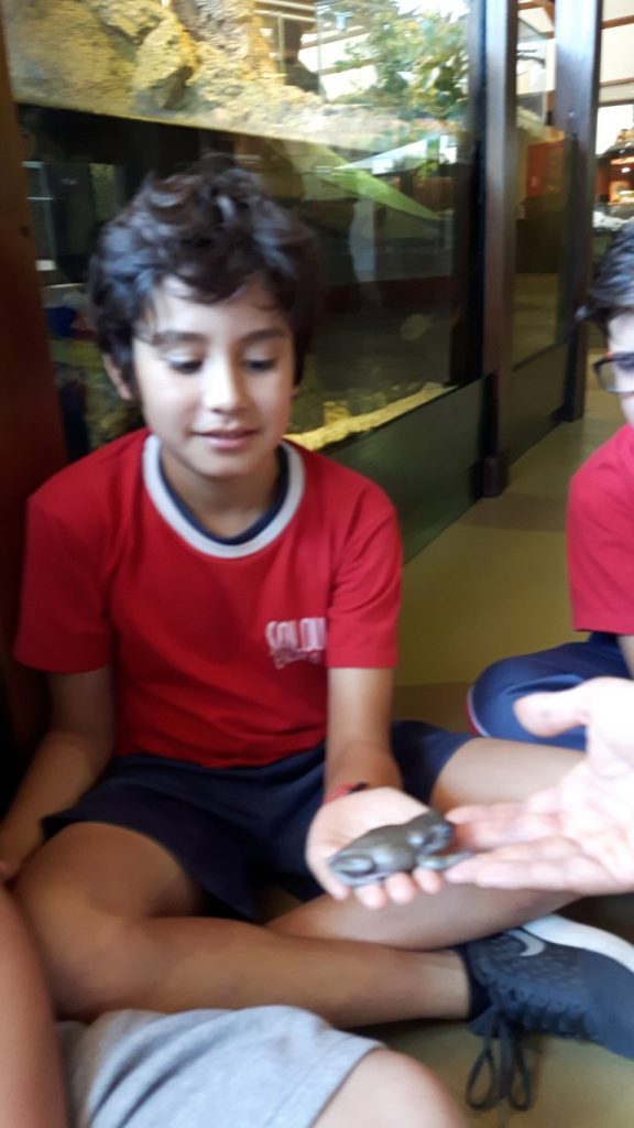 20170525_125911 (Medium)