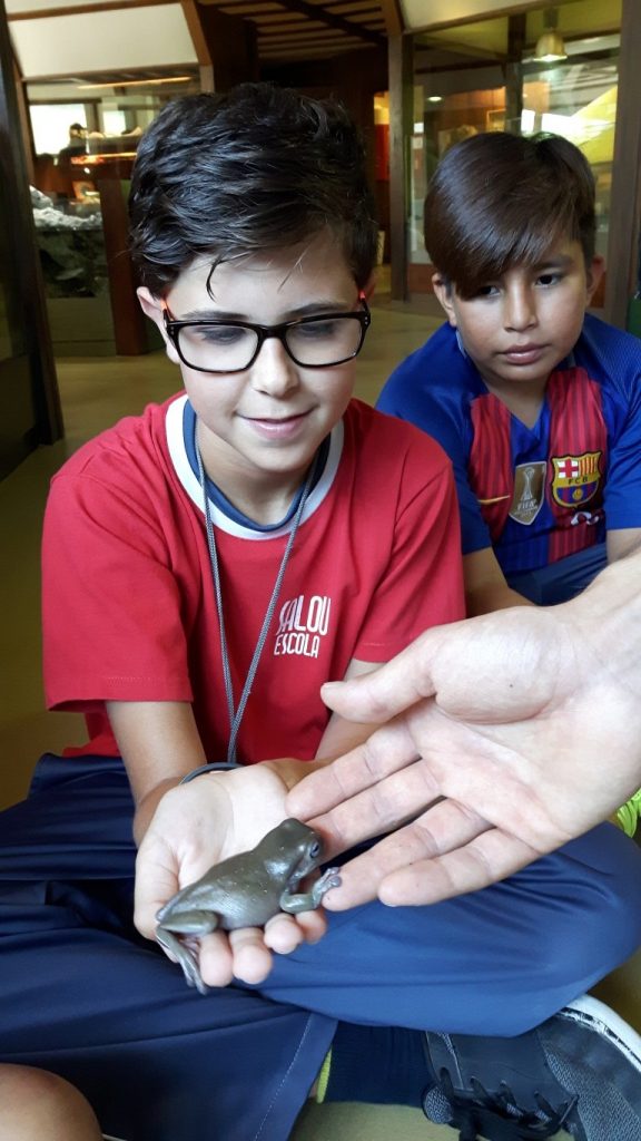 20170525_125938 (Medium)