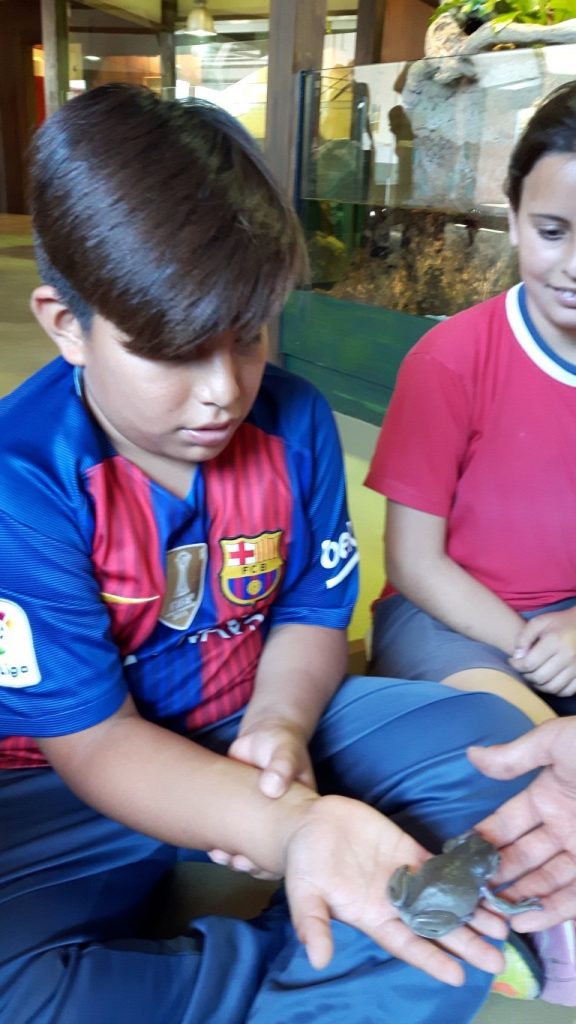 20170525_130042 (Medium)