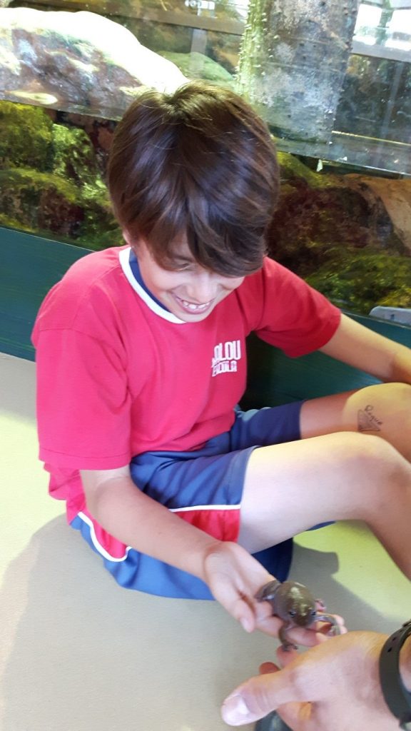 20170525_130110 (Medium)