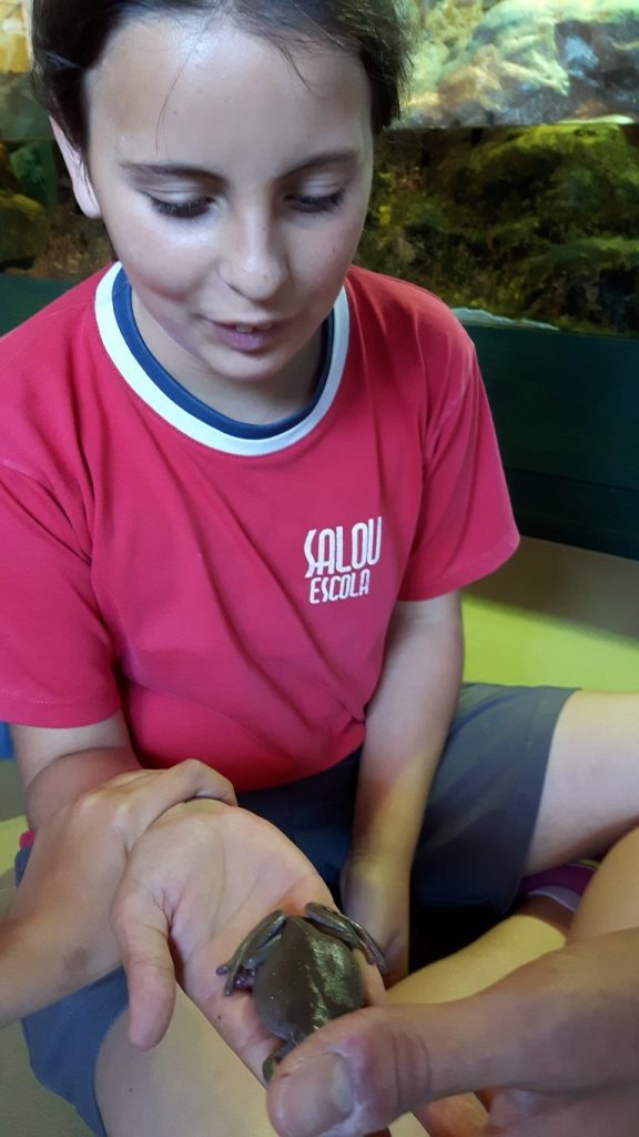 20170525_130142 (Medium)