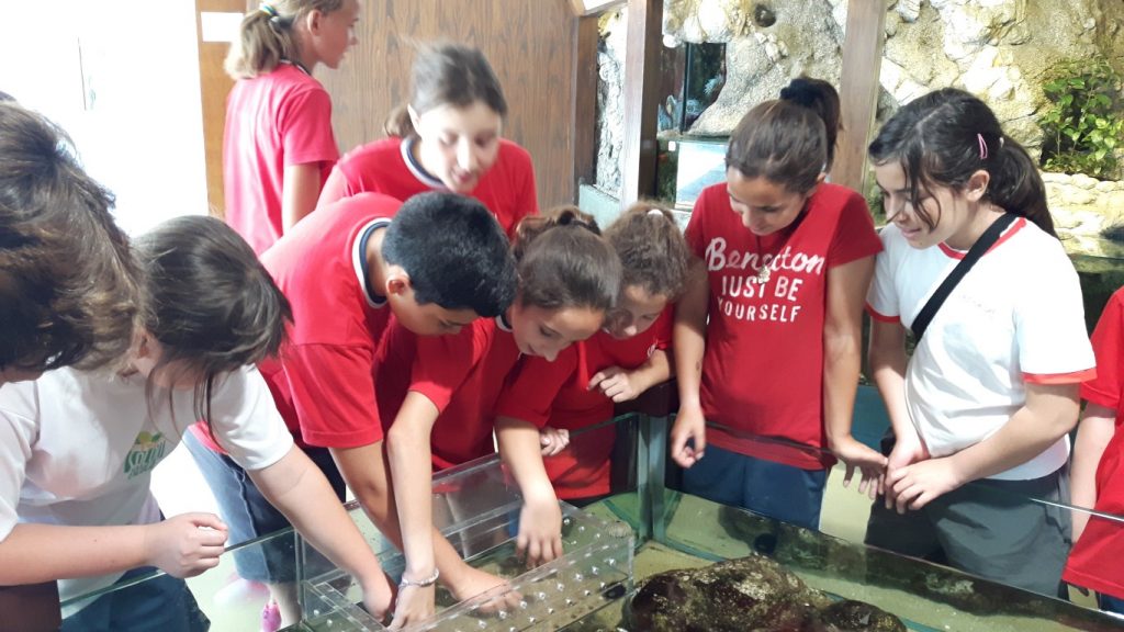 20170525_130344 (Medium)