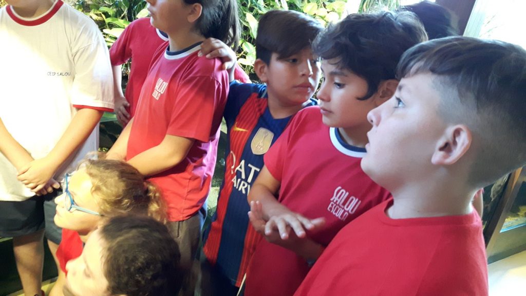 20170525_130419 (Medium)