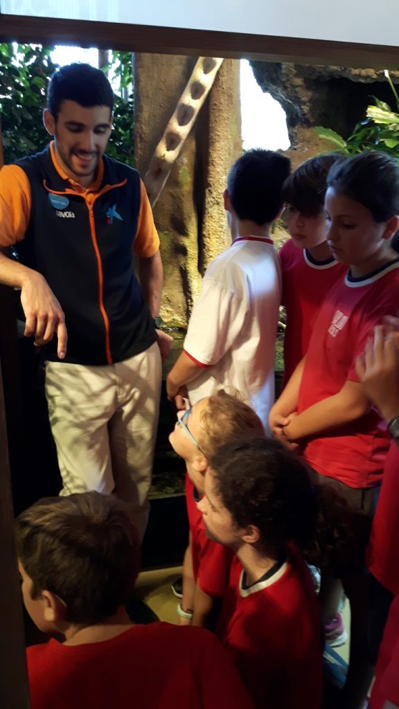 20170525_130426 (Medium)