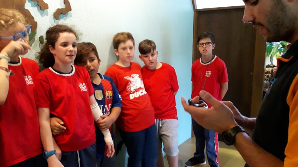 20170525_131235 (Medium)