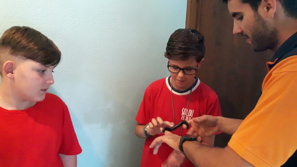 20170525_131616 (Medium)