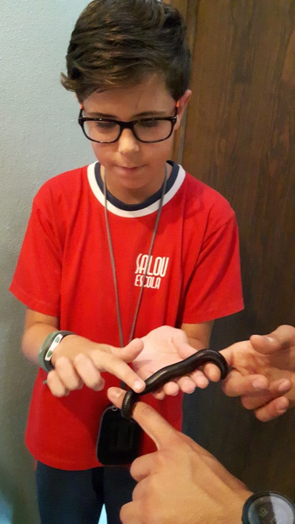 20170525_131624 (Medium)