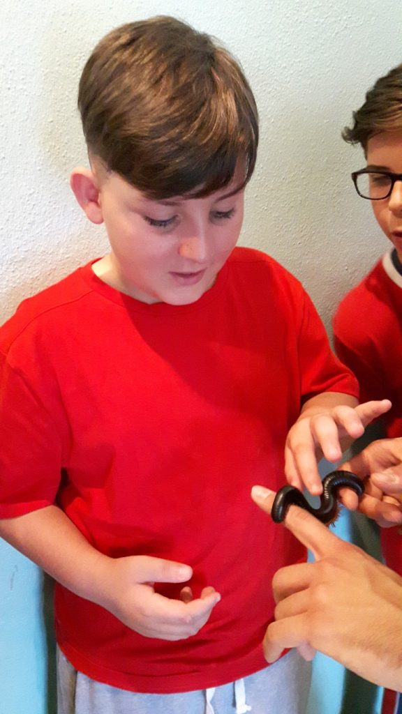 20170525_131630 (Medium)