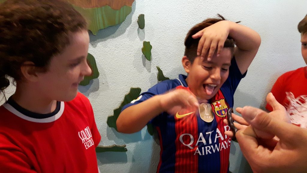 20170525_131658 (Medium)