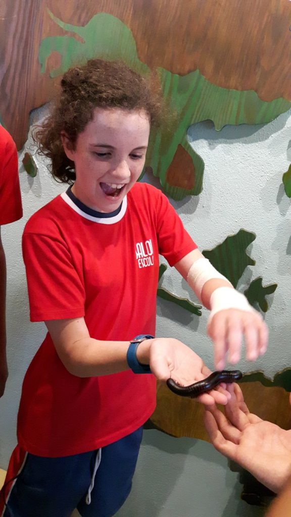 20170525_131710 (Medium)