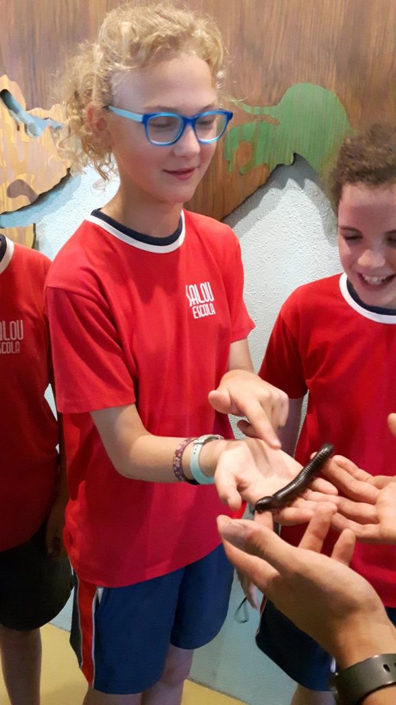 20170525_131722 (Medium)