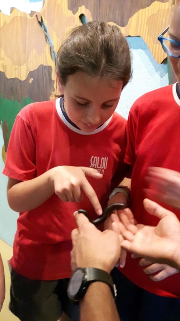 20170525_131741 (Medium)