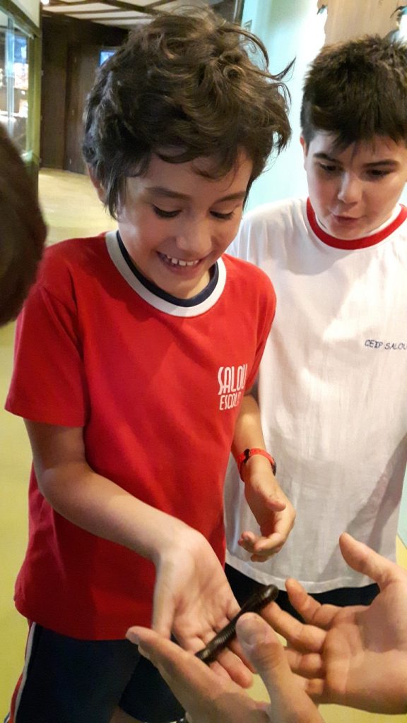 20170525_131800 (Medium)