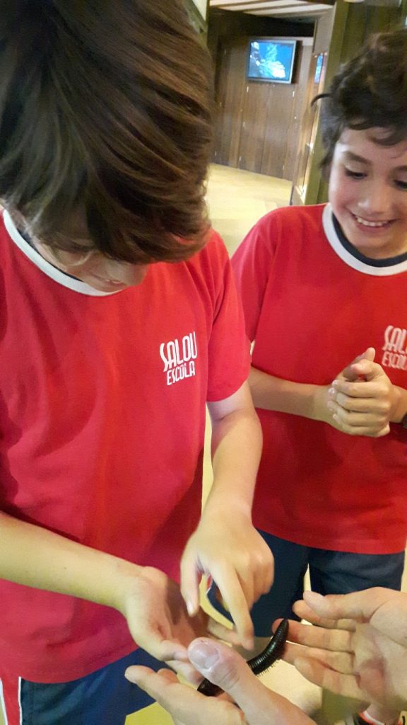 20170525_131812 (Medium)