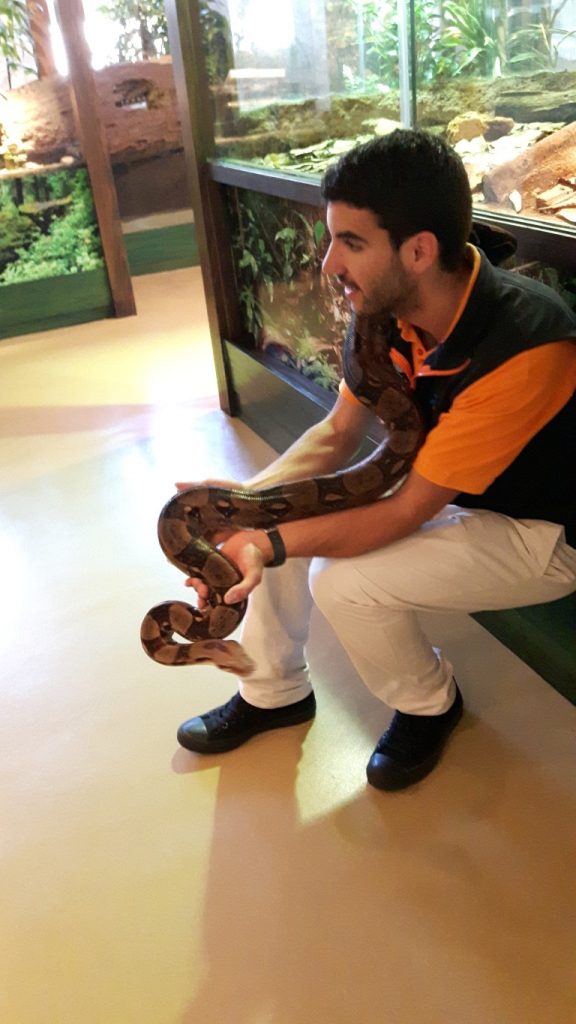 20170525_132006 (Medium)