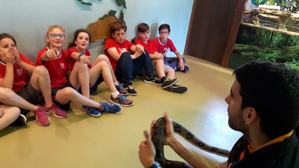 20170525_132114 (Medium)