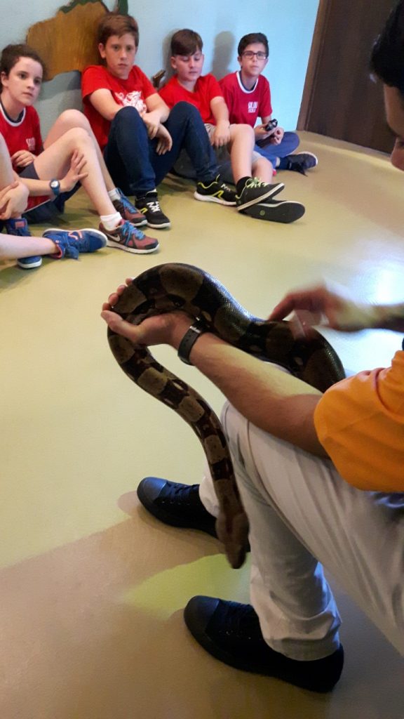 20170525_132159 (Medium)