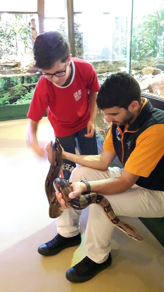 20170525_132526 (Medium)