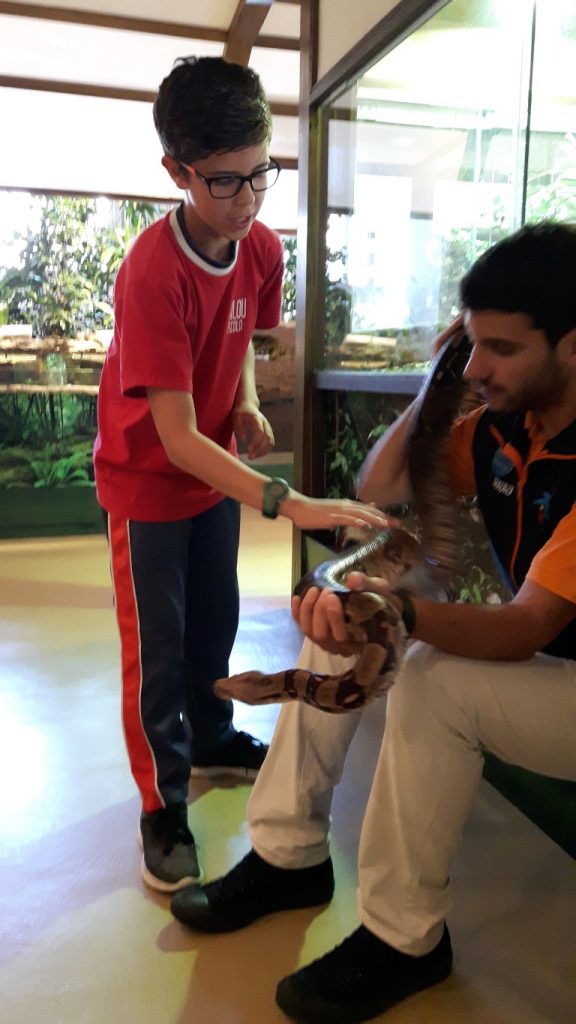 20170525_132538 (Medium)