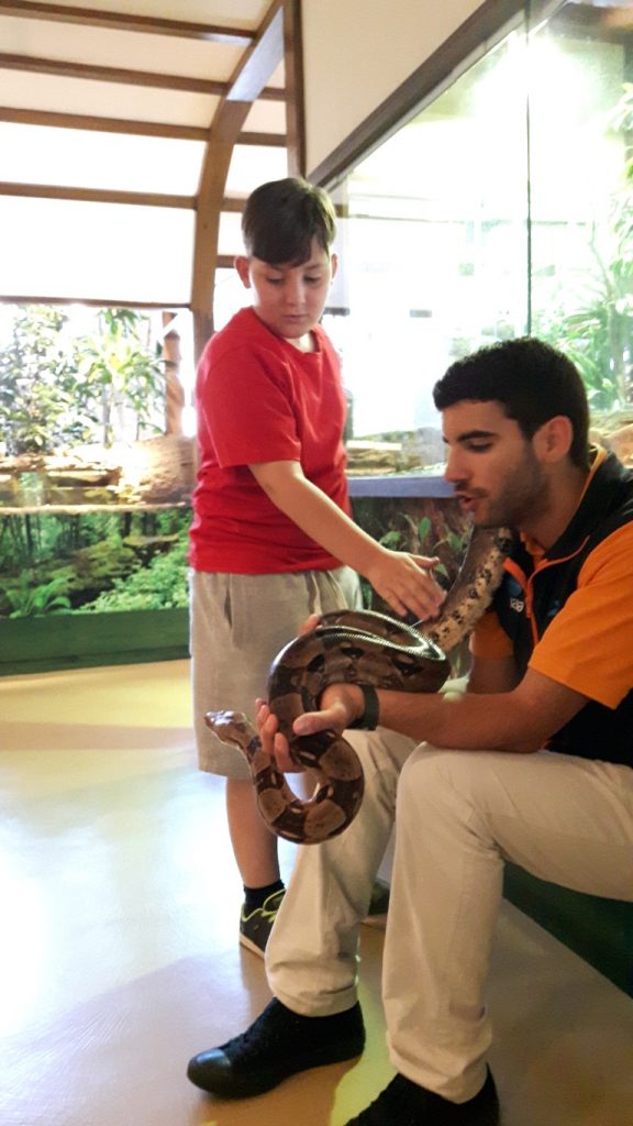 20170525_132557 (Medium)