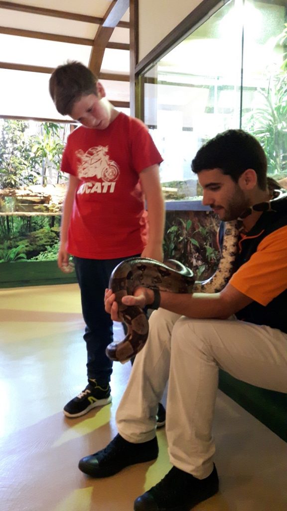 20170525_132625 (Medium)