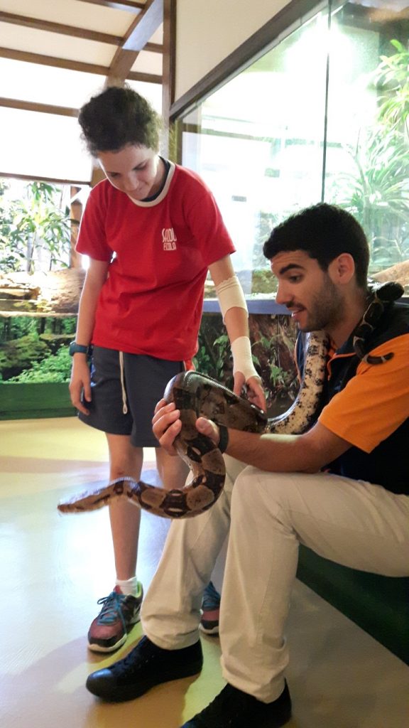 20170525_132643 (Medium)