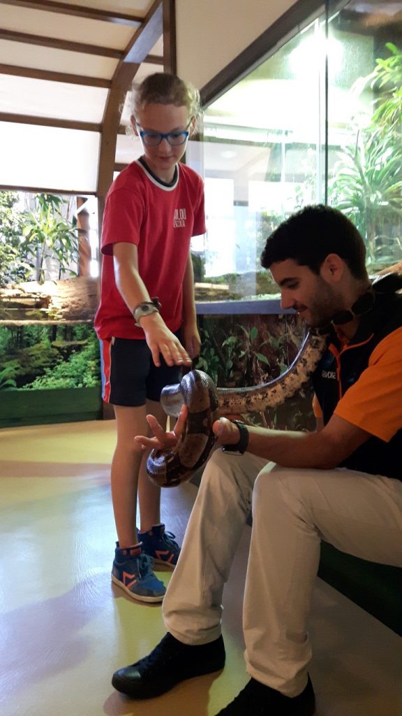 20170525_132703 (Medium)