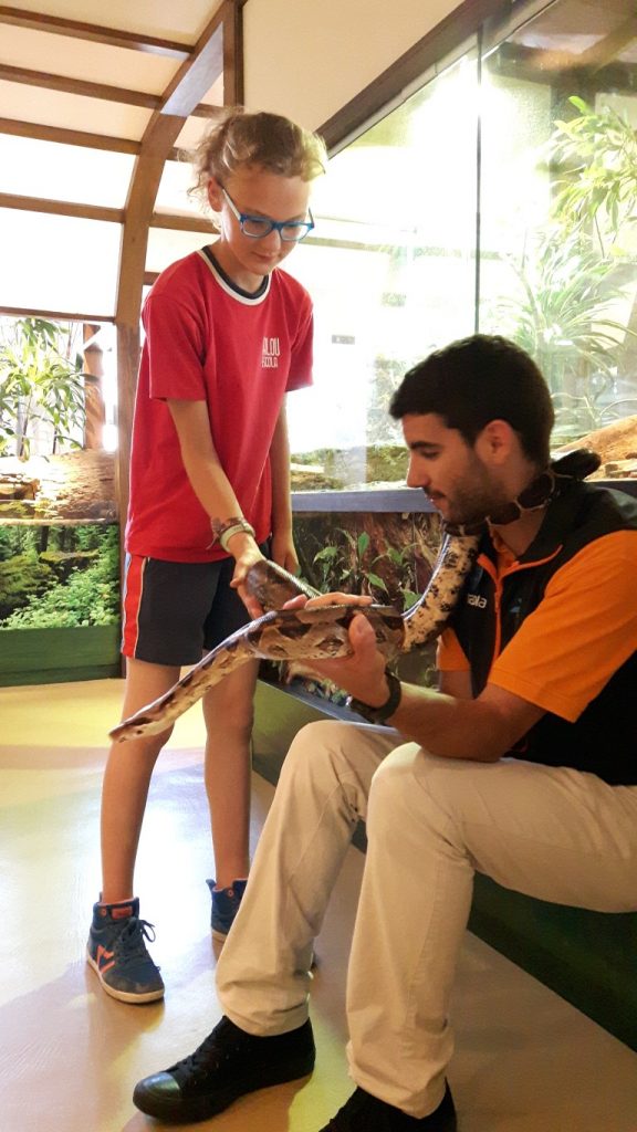 20170525_132717 (Medium)