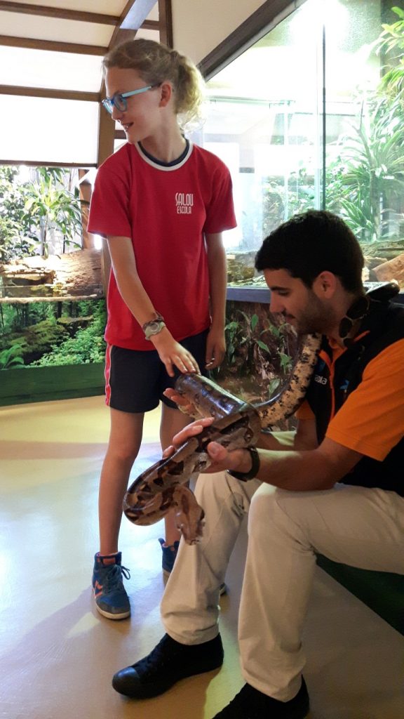 20170525_132731 (Medium)