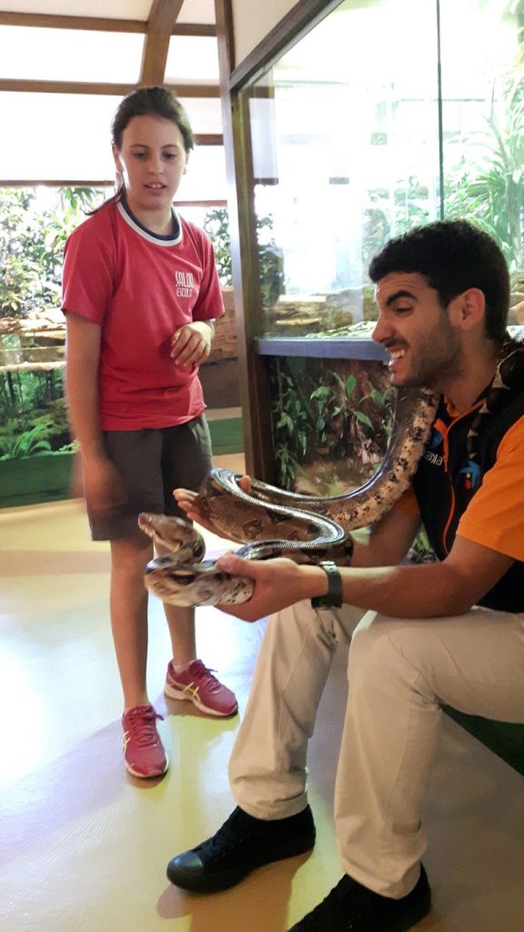 20170525_132754 (Medium)