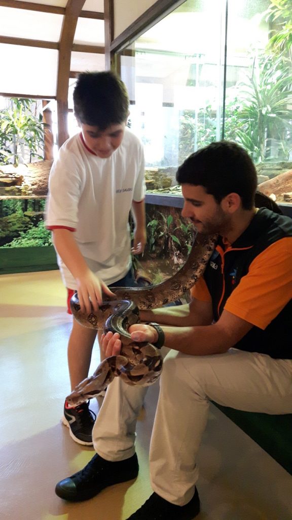 20170525_132835 (Medium)