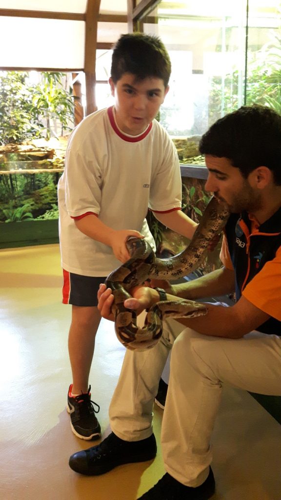 20170525_132925 (Medium)