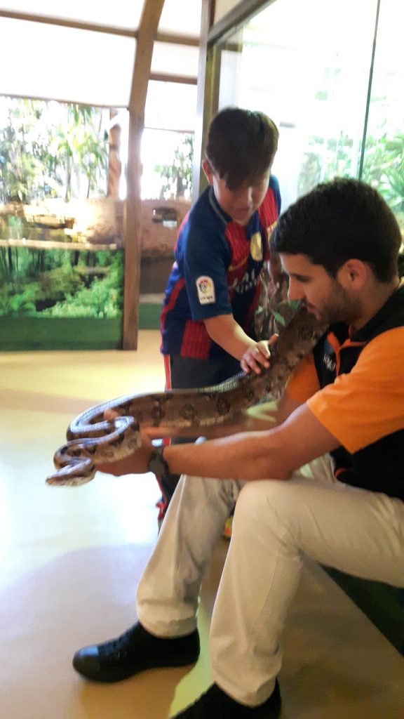 20170525_132940 (Medium)