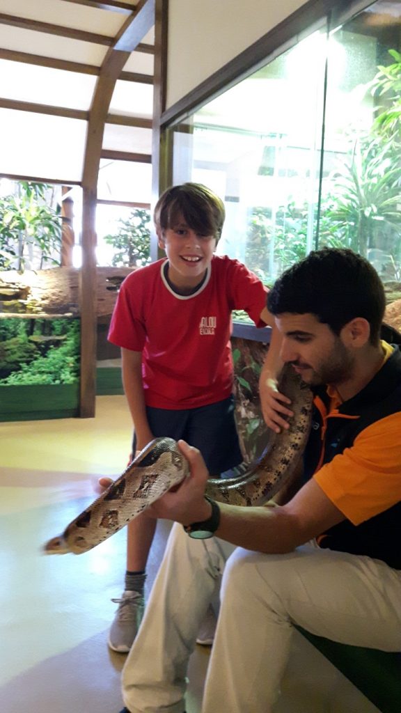 20170525_133033 (Medium)