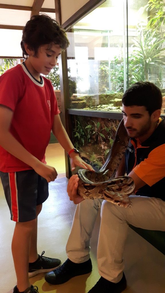 20170525_133044 (Medium)