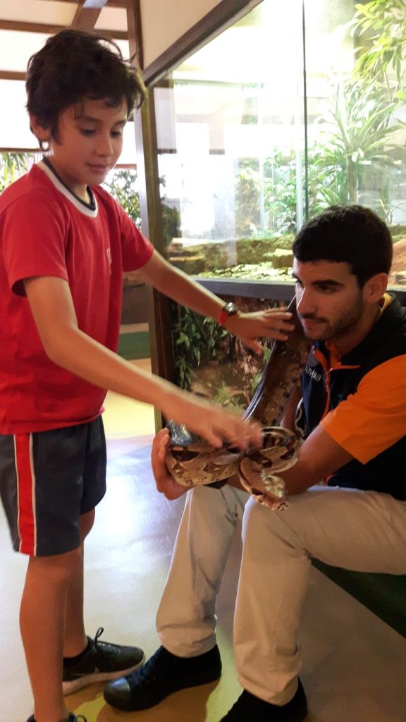 20170525_133047 (Medium)