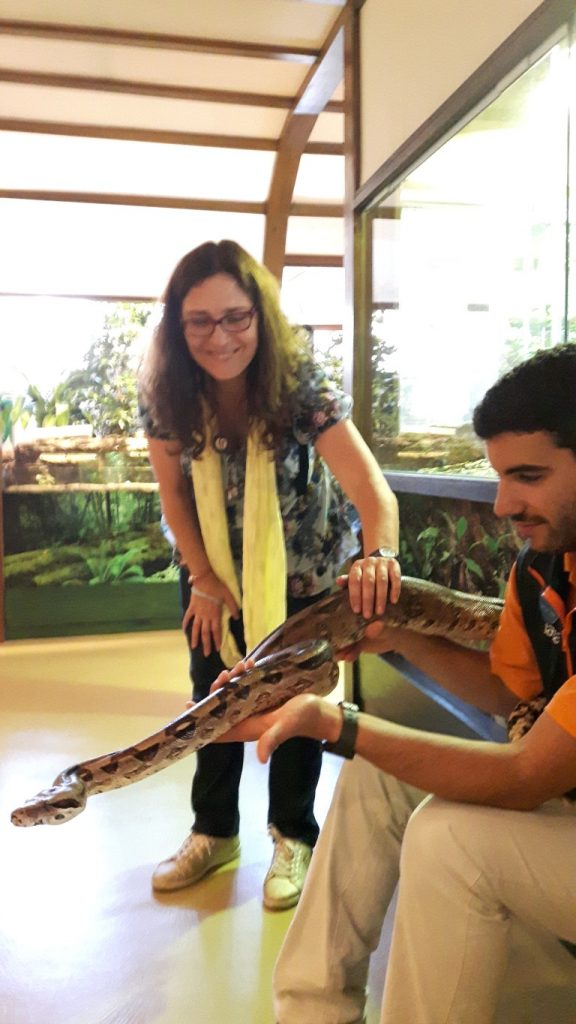 20170525_133125 (Medium)