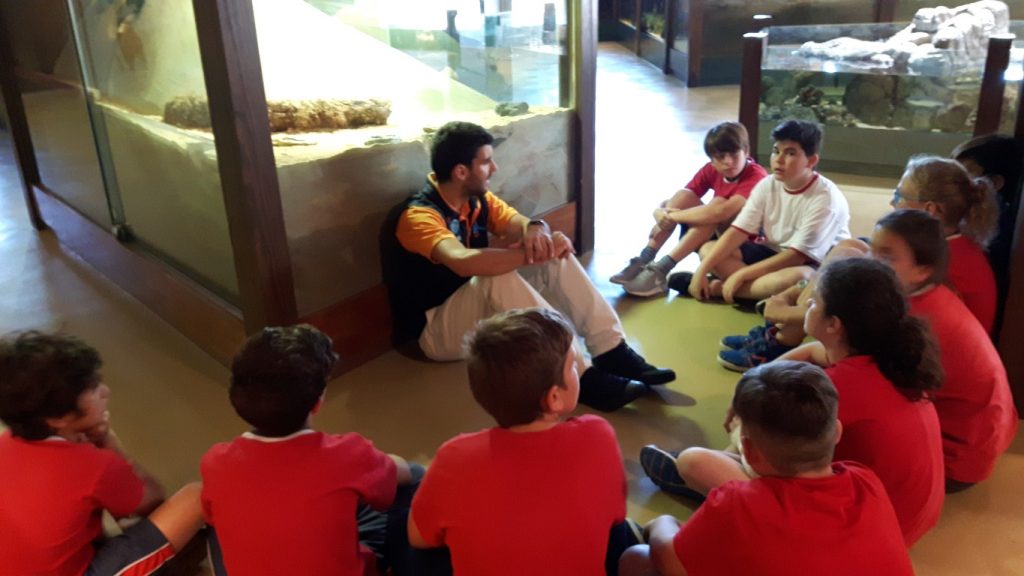 20170525_133330 (Medium)