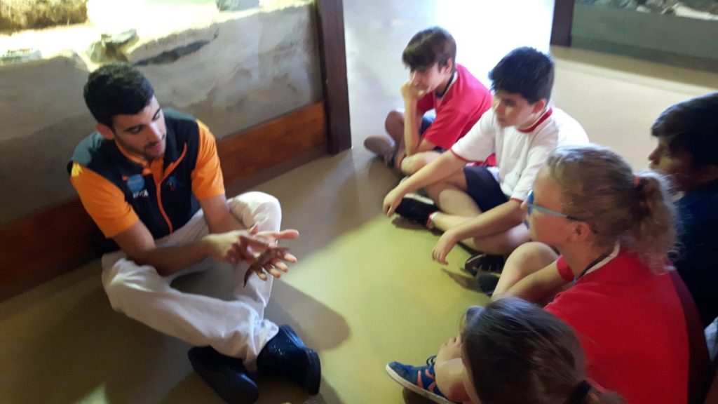 20170525_133627 (Medium)