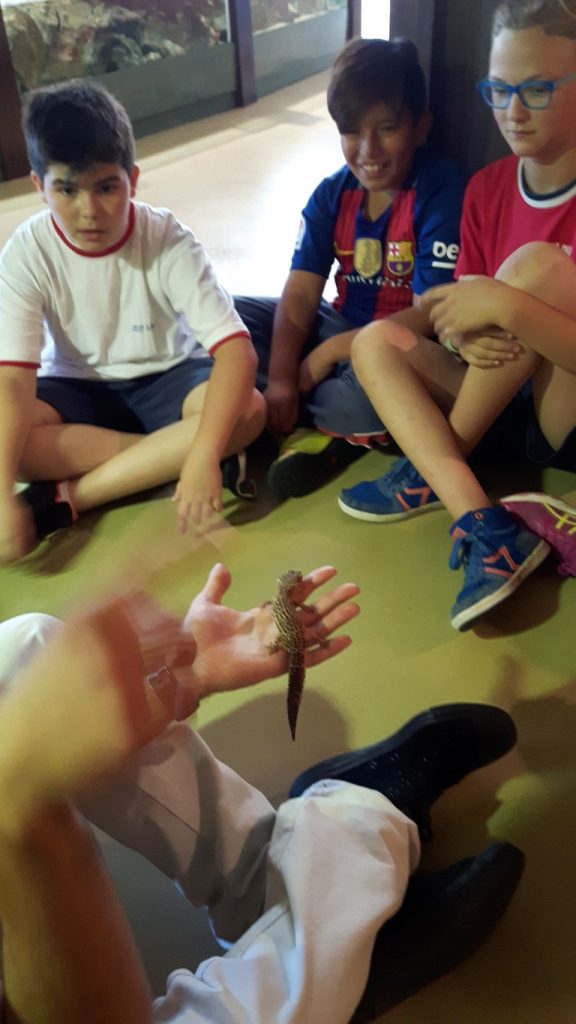 20170525_133642 (Medium)