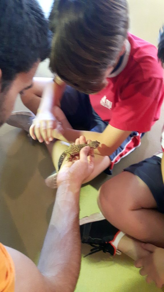 20170525_133805 (Medium)