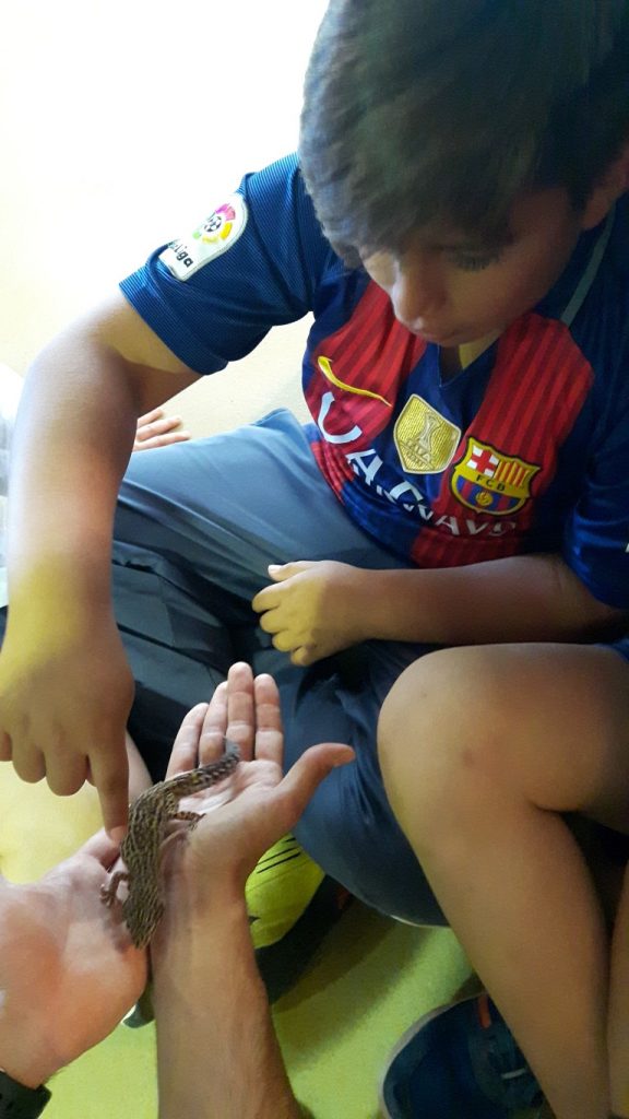 20170525_133826 (Medium)