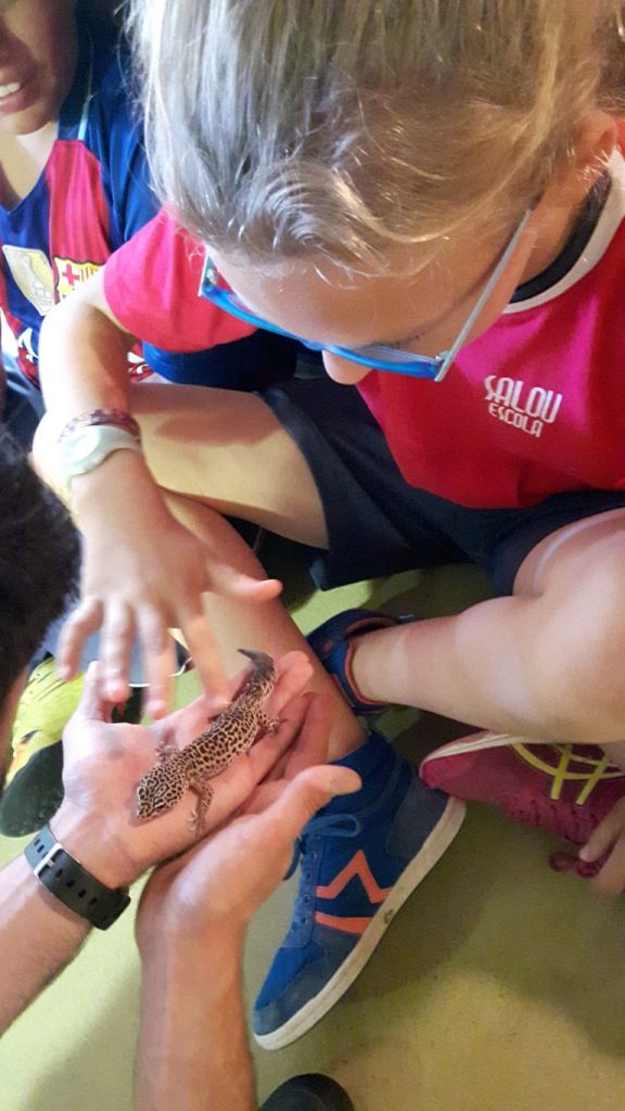 20170525_133839 (Medium)