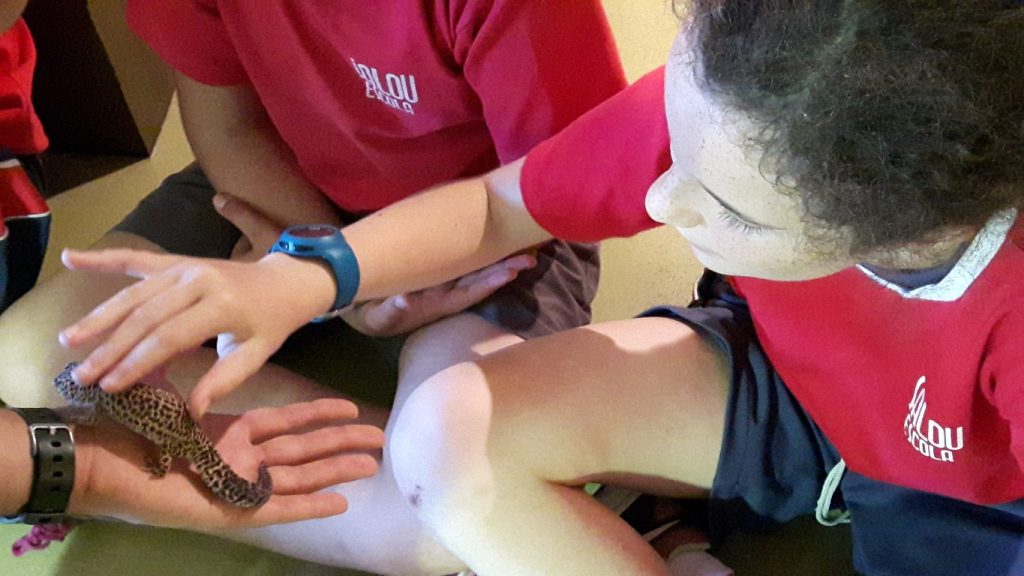 20170525_133911 (Medium)