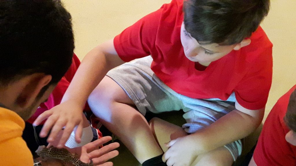 20170525_133927 (Medium)